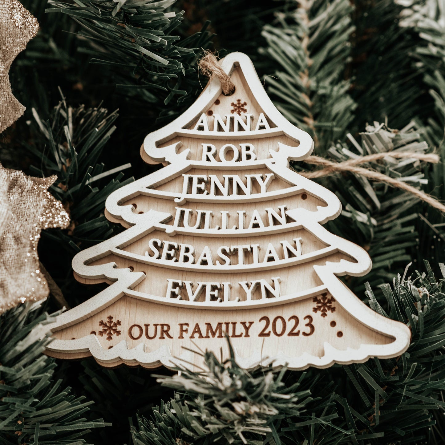 Christmas ornament 2025, Christmas tree ornaments, Family Christmas ornaments, Christmas ornaments handmade, Family Christmas ornament
