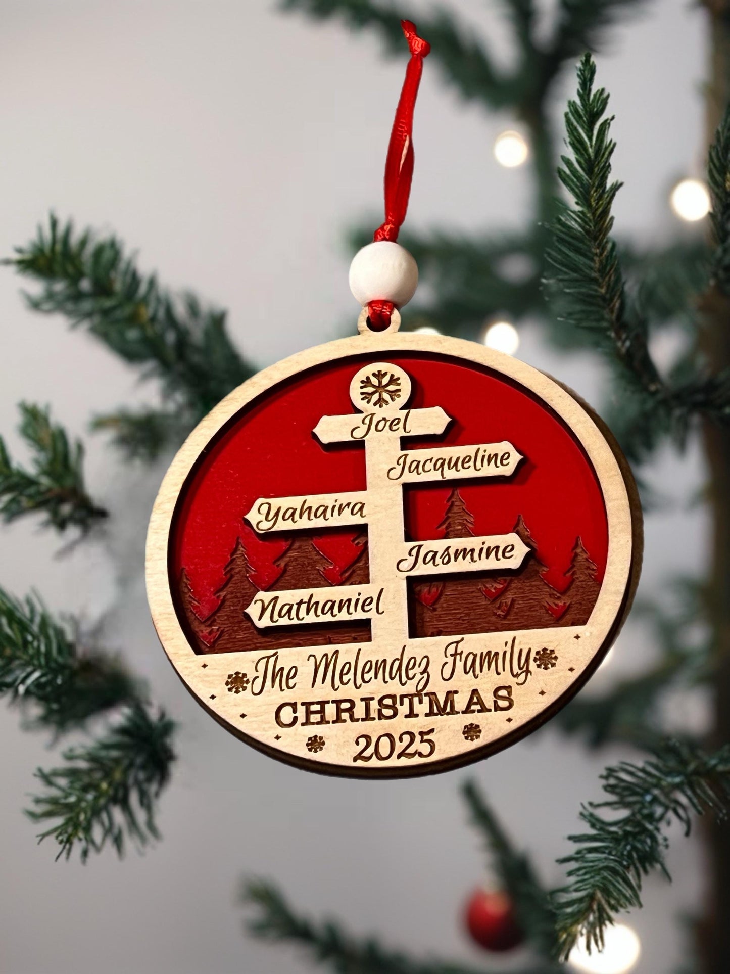 Personalized family Christmas Ornaments